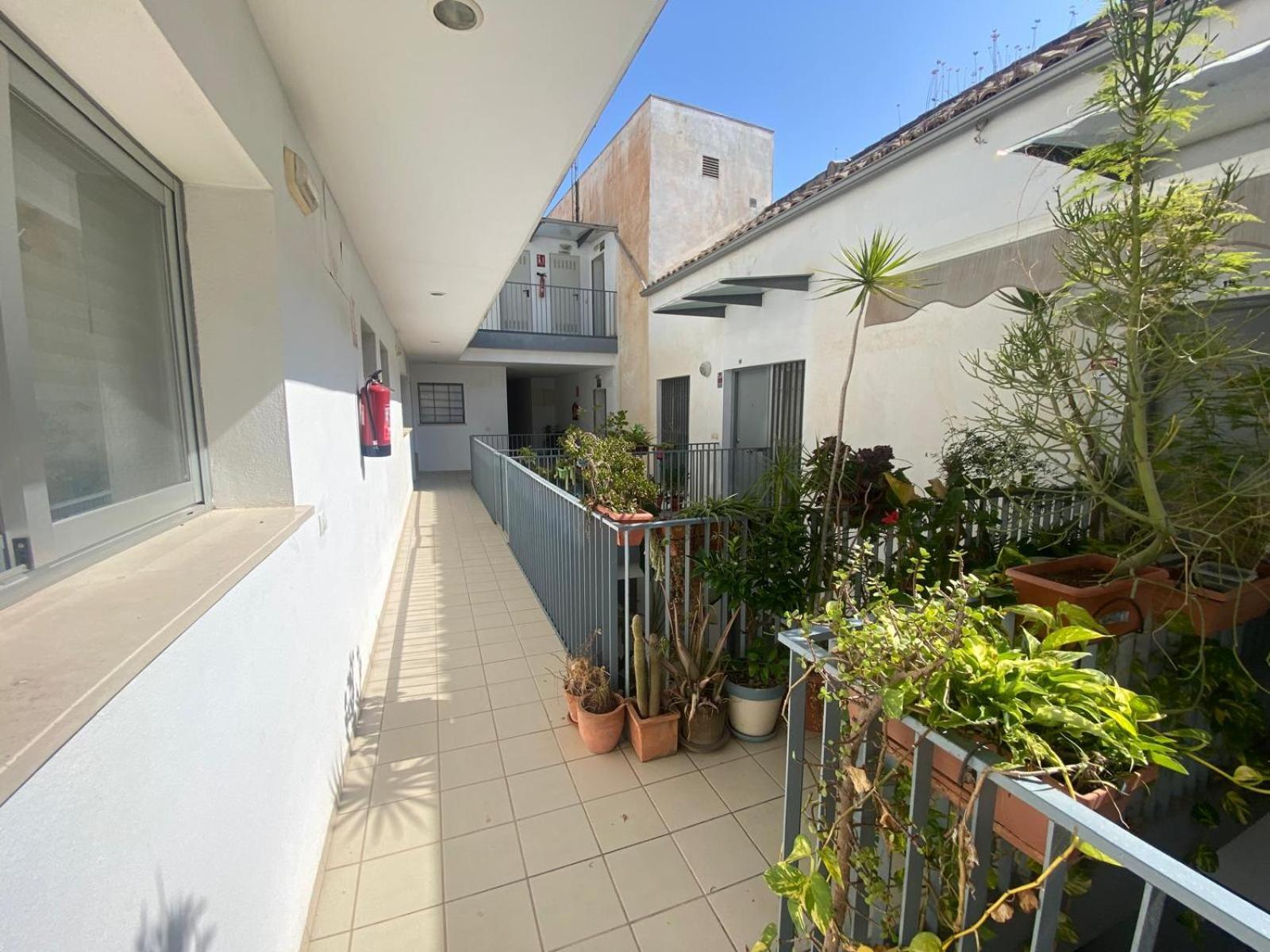 Attractive In Center Apartamento